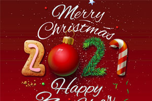 Merry Christmas and Happy New Year 2021